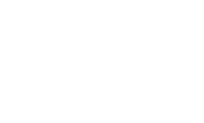 vizi